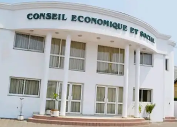 Gabon : le Conseil Economique Social et Environnemental  réduit à  60 membres