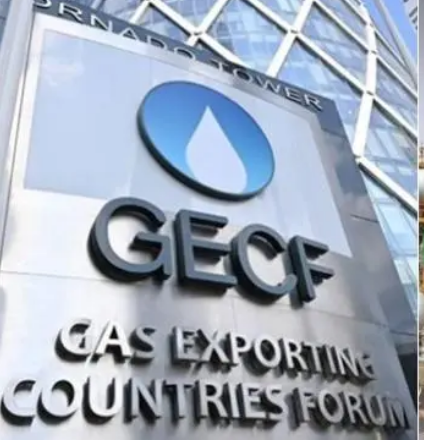 Pays exportateurs de Gaz : les chefs d’Etat attendus au 7è sommet en Algérie