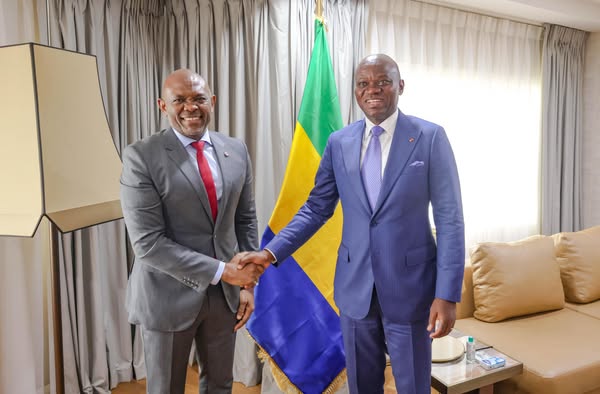 A Abuja, Oligui Nguema rencontre Tony Elumelu