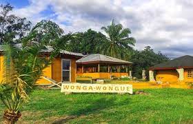 Gabon : le parc de Wonga-Wongué désormais ouvert au public