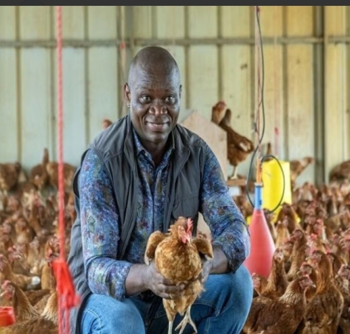 Gabon : Le pays entre dans la phase de vérité avant l’interdiction du poulet importé