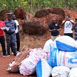 Gabon review