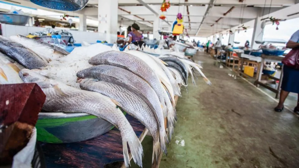 Pêche: le Gabon rompt son accord avec l’Union Européenne