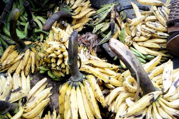 Formol sur les denrées alimentaires : l’Agasa met sous surveillance les produits provenant du Cameroun