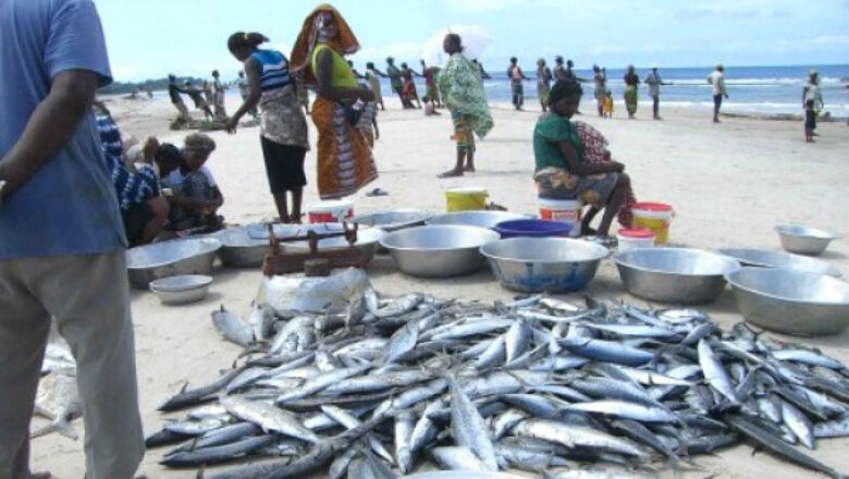Reprise des activités de pêche dans l'Estuaire du Komo