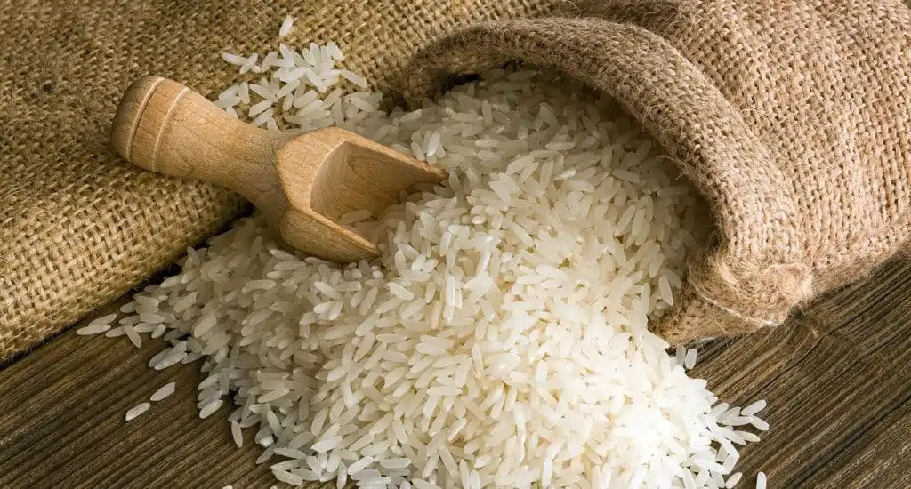 Gabon: homologation de trois nouvelles variétés de riz